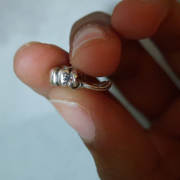 Wishbone Pandrora Charm - Picture 5 of 7